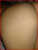 Free up skirt ass pics