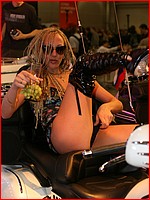 1000s upskirt car show girls photos photos