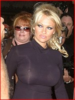 1000s upskirt and downblouse celebrity photos