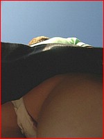 Up skirt pic