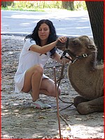 1000s upskirt photos