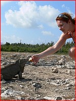 1000s voyeur candid upskirt photos