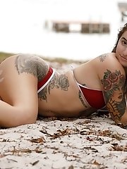 8 pictures - Sasha Apex Textbook Florida