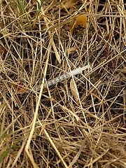 8 pictures - Diana Sedova Russian Heroine